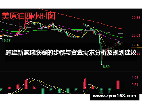 筹建新篮球联赛的步骤与资金需求分析及规划建议