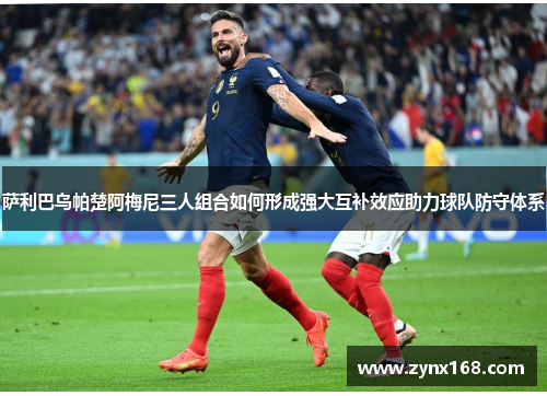 萨利巴乌帕楚阿梅尼三人组合如何形成强大互补效应助力球队防守体系