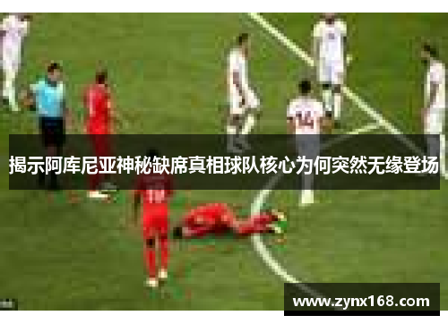 揭示阿库尼亚神秘缺席真相球队核心为何突然无缘登场